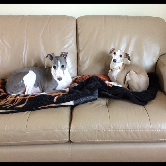 Meet your Posher, Joyce - Picture 1 of 3